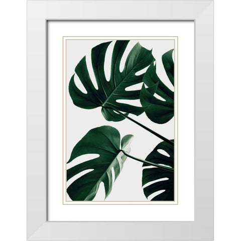 Monstera Natural 43 White Modern Wood Framed Art Print with Double Matting by 1x Studio III