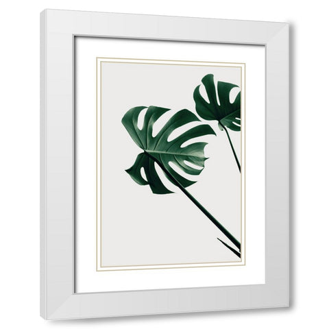 Monstera Natural 47 White Modern Wood Framed Art Print with Double Matting by 1x Studio III