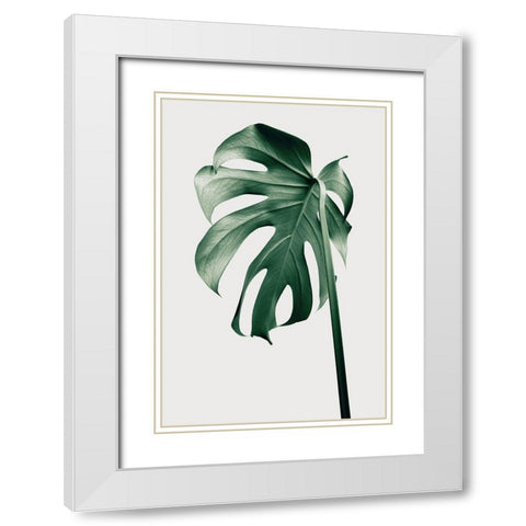 Monstera Natural 44 White Modern Wood Framed Art Print with Double Matting by 1x Studio III