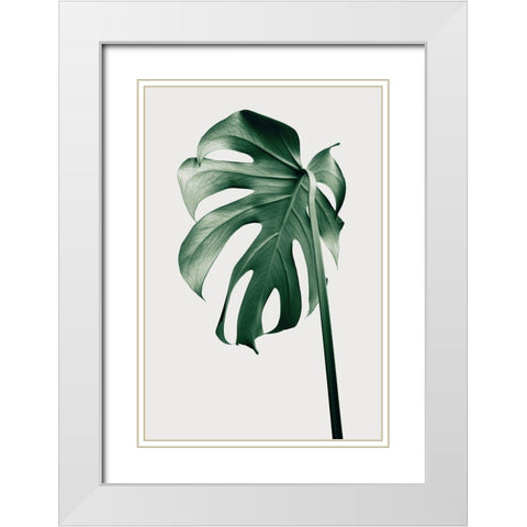 Monstera Natural 44 White Modern Wood Framed Art Print with Double Matting by 1x Studio III
