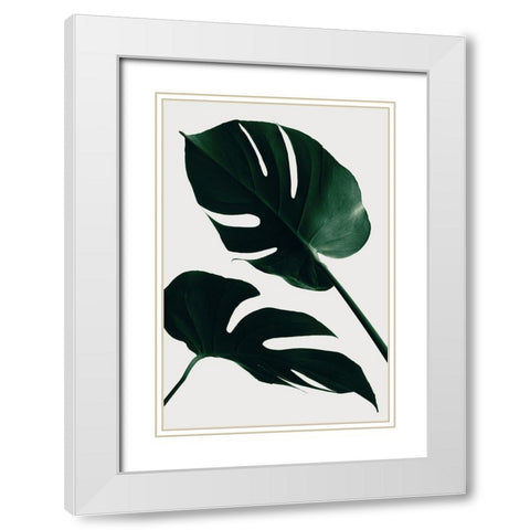 Monstera Natural 45 White Modern Wood Framed Art Print with Double Matting by 1x Studio III