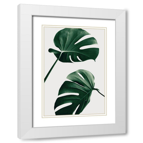 Monstera Natural 46 White Modern Wood Framed Art Print with Double Matting by 1x Studio III