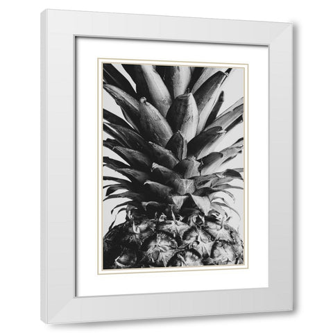 Pineapple Close Up 02 White Modern Wood Framed Art Print with Double Matting by 1x Studio III