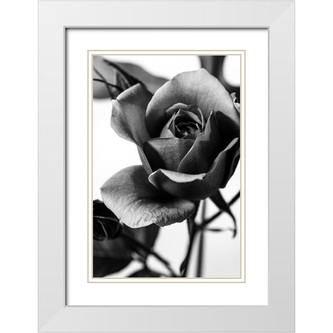 Let Me Know White Modern Wood Framed Art Print with Double Matting by Stella, CYAN