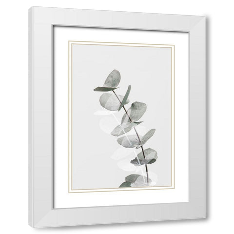 Eucalyptus Creative 05 White Modern Wood Framed Art Print with Double Matting by 1x Studio III