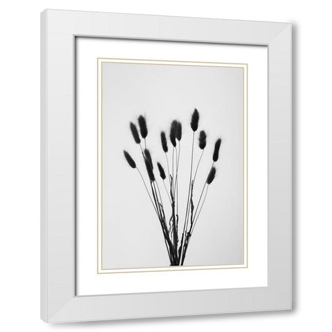 Bunny Grass No 2 White Modern Wood Framed Art Print with Double Matting by 1x Studio III