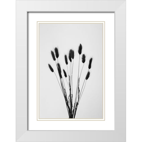 Bunny Grass No 2 White Modern Wood Framed Art Print with Double Matting by 1x Studio III