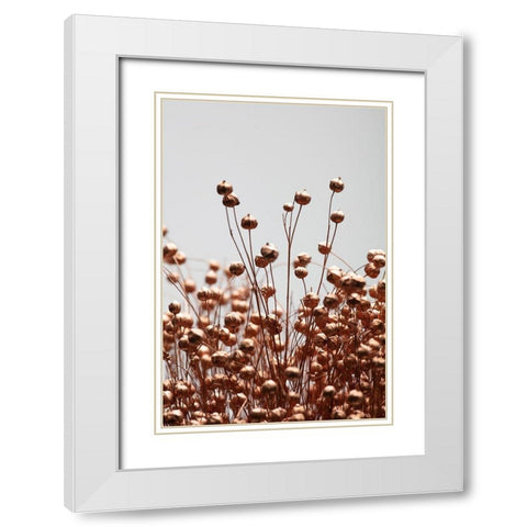 Dried Grass Copper 02 White Modern Wood Framed Art Print with Double Matting by 1x Studio III