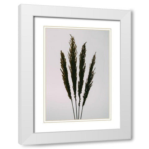 Dried Grass White Modern Wood Framed Art Print with Double Matting by 1x Studio III