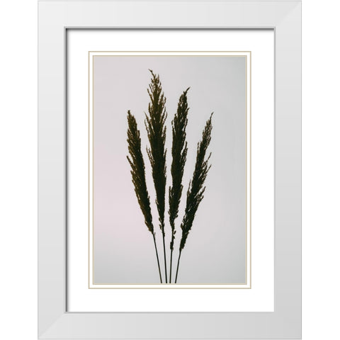 Dried Grass White Modern Wood Framed Art Print with Double Matting by 1x Studio III