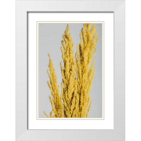 Yellow Grass Close White Modern Wood Framed Art Print with Double Matting by 1x Studio III