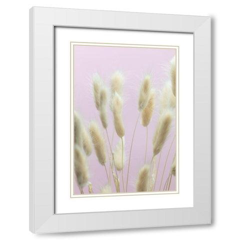 Bunny Grass Pink 01 White Modern Wood Framed Art Print with Double Matting by 1x Studio III