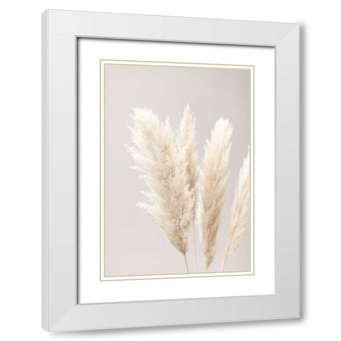 Pampas Grass Grey 02 White Modern Wood Framed Art Print with Double Matting by 1x Studio III