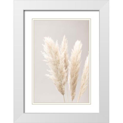 Pampas Grass Grey 02 White Modern Wood Framed Art Print with Double Matting by 1x Studio III