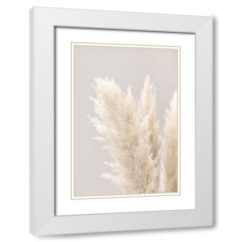 Pampas Grass Grey 03 White Modern Wood Framed Art Print with Double Matting by 1x Studio III