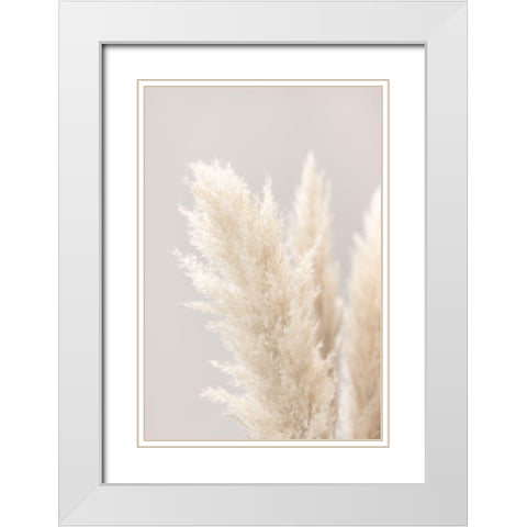 Pampas Grass Grey 03 White Modern Wood Framed Art Print with Double Matting by 1x Studio III