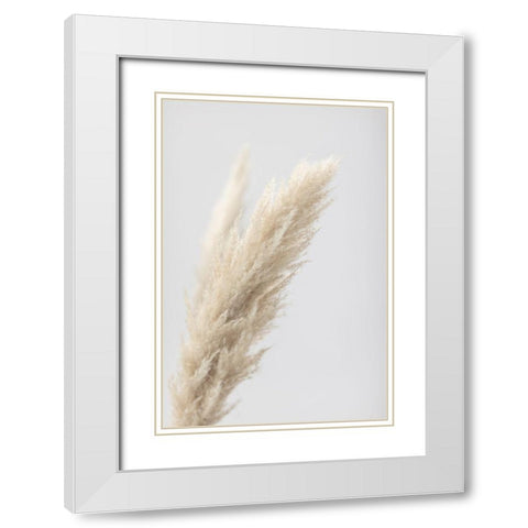 Pampas Grass Grey 07 White Modern Wood Framed Art Print with Double Matting by 1x Studio III