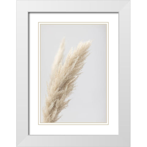 Pampas Grass Grey 07 White Modern Wood Framed Art Print with Double Matting by 1x Studio III