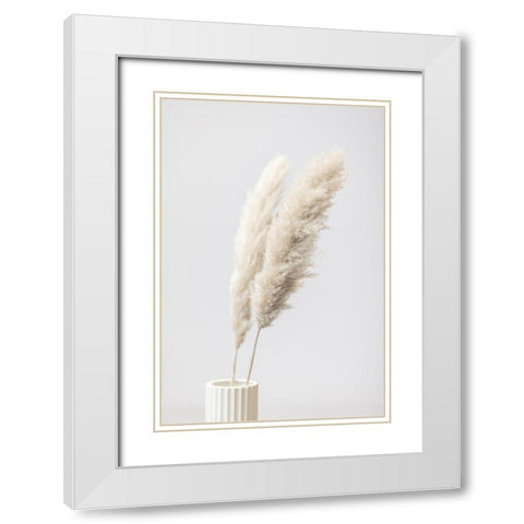 Pampas Grass Grey 11 White Modern Wood Framed Art Print with Double Matting by 1x Studio III