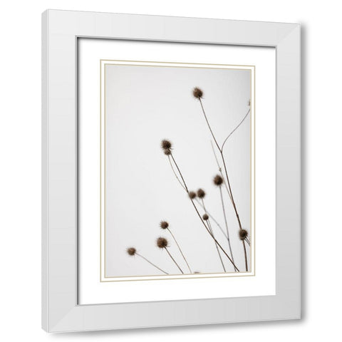 Thistle Grey 01 White Modern Wood Framed Art Print with Double Matting by 1x Studio III