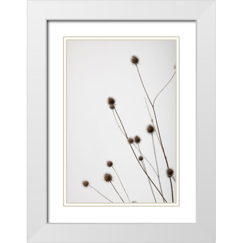 Thistle Grey 01 White Modern Wood Framed Art Print with Double Matting by 1x Studio III