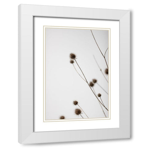 Thistle Grey 03 White Modern Wood Framed Art Print with Double Matting by 1x Studio III