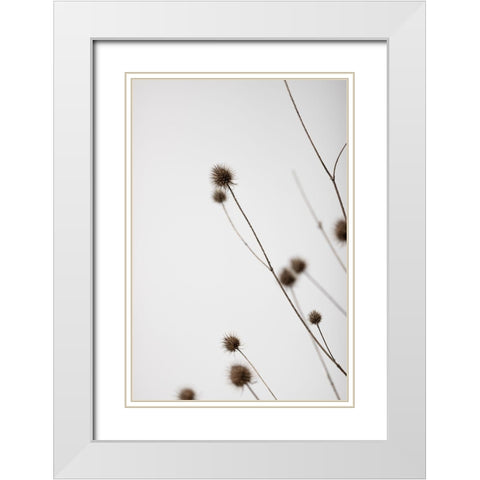 Thistle Grey 03 White Modern Wood Framed Art Print with Double Matting by 1x Studio III
