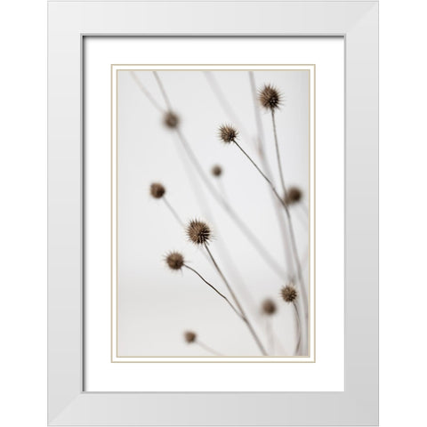 Thistle Grey 06 White Modern Wood Framed Art Print with Double Matting by 1x Studio III