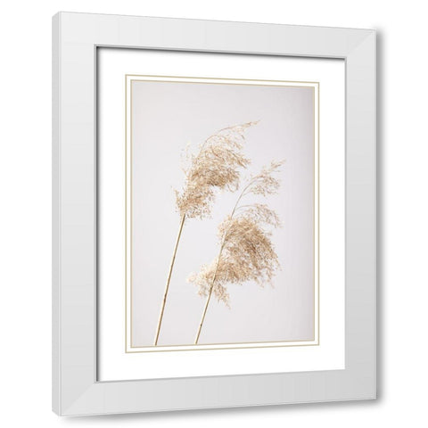 Reed Grass Grey 05 White Modern Wood Framed Art Print with Double Matting by 1x Studio III