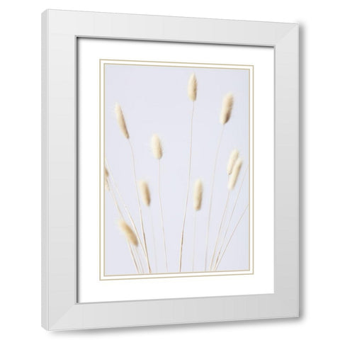 Bunny Grass No 2 White Modern Wood Framed Art Print with Double Matting by 1x Studio III
