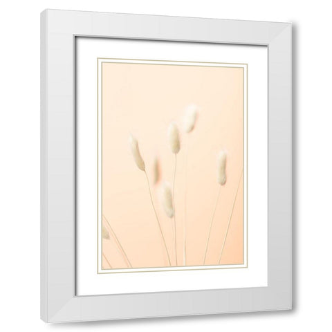 Bunny Grass Peach 06 White Modern Wood Framed Art Print with Double Matting by 1x Studio III