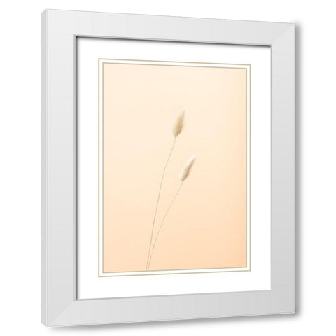 Bunny Grass Peach 08 White Modern Wood Framed Art Print with Double Matting by 1x Studio III