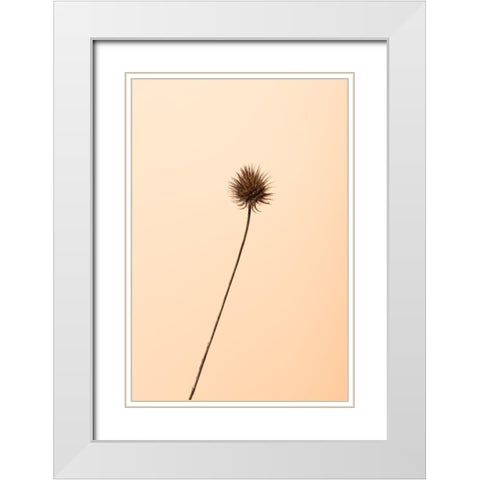 Thistle Peach White Modern Wood Framed Art Print with Double Matting by 1x Studio III