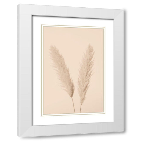 Pampas Grass Beige 01 White Modern Wood Framed Art Print with Double Matting by 1x Studio III