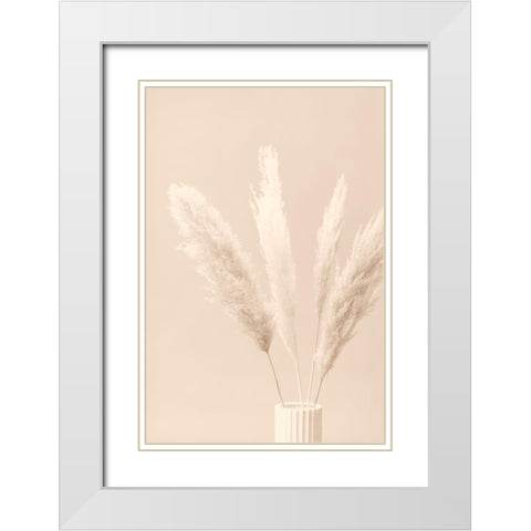 Pampas Grass Beige 05 White Modern Wood Framed Art Print with Double Matting by 1x Studio III