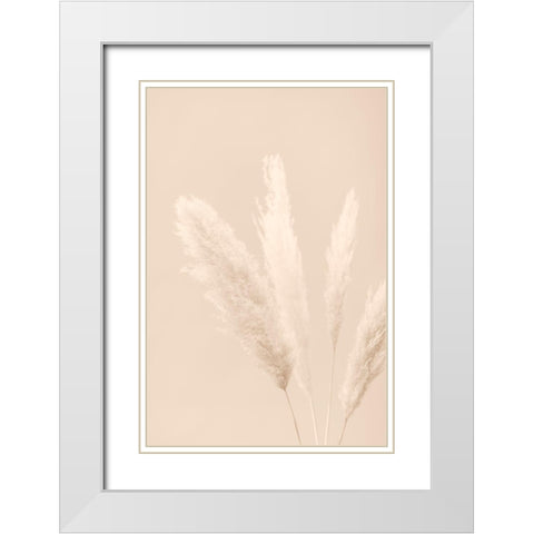 Pampas Grass Beige 06 White Modern Wood Framed Art Print with Double Matting by 1x Studio III