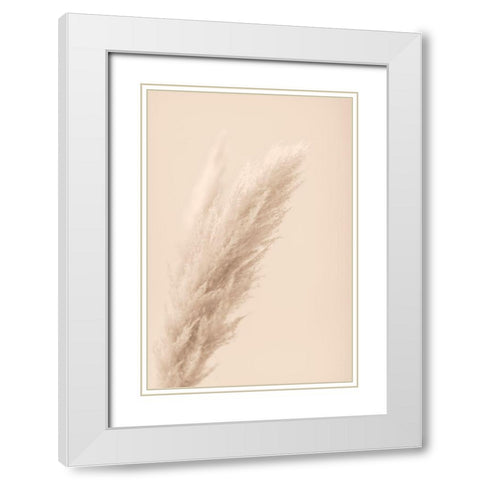 Pampas Grass Beige 07 White Modern Wood Framed Art Print with Double Matting by 1x Studio III