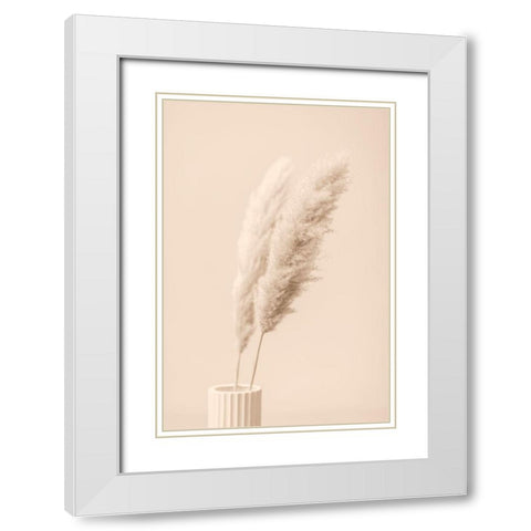 Pampas Grass Begie 13 White Modern Wood Framed Art Print with Double Matting by 1x Studio III