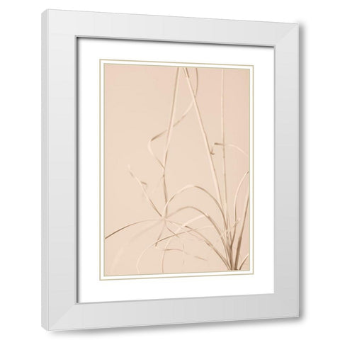 Dried Grass Beige 01 White Modern Wood Framed Art Print with Double Matting by 1x Studio III