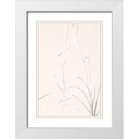 Dried Grass Light Beige White Modern Wood Framed Art Print with Double Matting by 1x Studio III