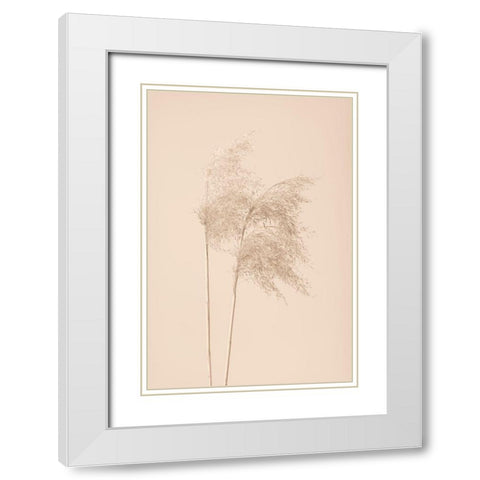 Reed Grass Beige 02 White Modern Wood Framed Art Print with Double Matting by 1x Studio III