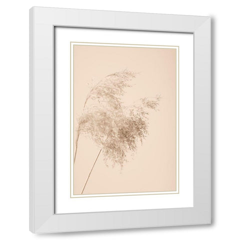 Reed Grass Beige 04 White Modern Wood Framed Art Print with Double Matting by 1x Studio III
