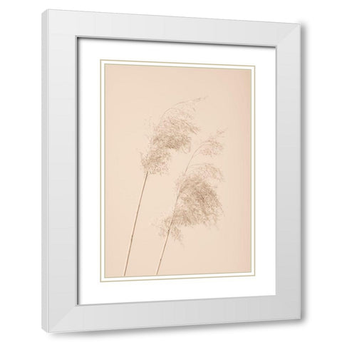 Reed Grass Beige 05 White Modern Wood Framed Art Print with Double Matting by 1x Studio III
