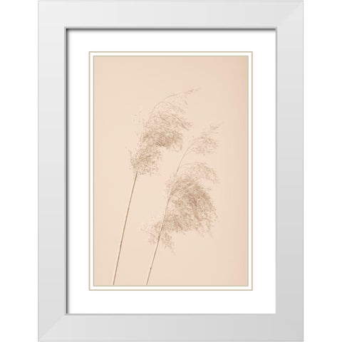 Reed Grass Beige 05 White Modern Wood Framed Art Print with Double Matting by 1x Studio III