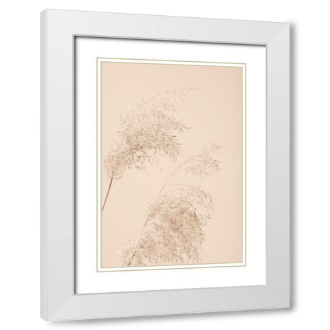 Reed Grass Beige 06 White Modern Wood Framed Art Print with Double Matting by 1x Studio III
