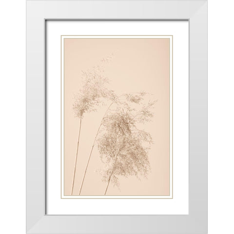 Reed Grass Beige 07 White Modern Wood Framed Art Print with Double Matting by 1x Studio III