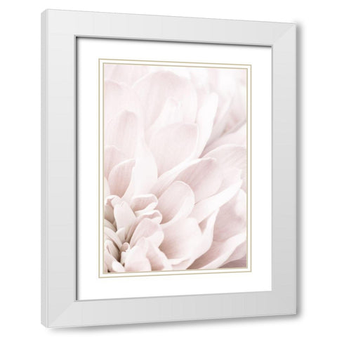 Chrysanthemum No 04 White Modern Wood Framed Art Print with Double Matting by 1x Studio III