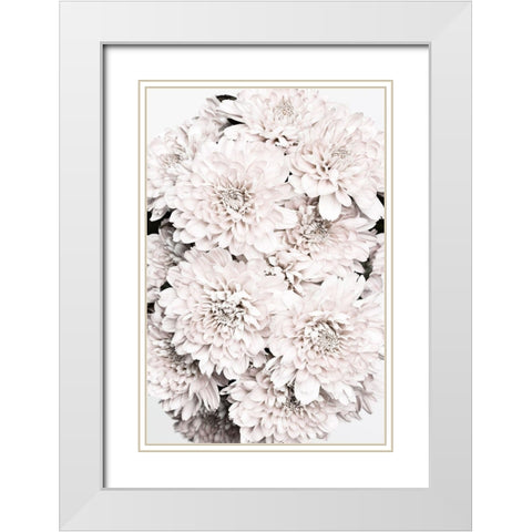 Chrysanthemum No 08 White Modern Wood Framed Art Print with Double Matting by 1x Studio III