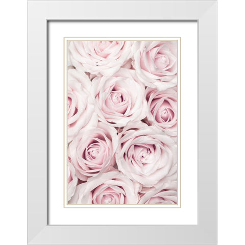 Pink Roses No 03 White Modern Wood Framed Art Print with Double Matting by 1x Studio III