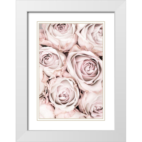 Pink Roses No 01 White Modern Wood Framed Art Print with Double Matting by 1x Studio III